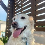 Emerson - @emerson.walter.tech - Instagram
