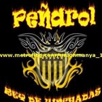 Walter Techera - @waltertechera9742 - Instagram