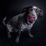 Walter Thayer - @walterwhite_black - Instagram