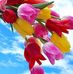 Walter Thein - Facebook