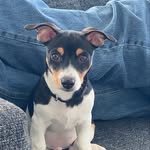 @walter.theodore.esq - Instagram