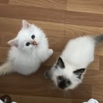 Walter & Theodore - @walterandteddy - Instagram