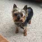 Walter & Theodore - @wally__tv - Instagram