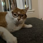 Walter Theodore - @mynamewalterimorange - Instagram