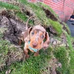 Walter_Theodore_&_Friends - @walter_theodore03 - Instagram
