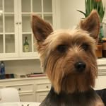 Walter Theodore Anderson - @walt_by_default - Instagram