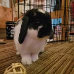 Walter Theodore Hebblewhite - @walter.bun - Instagram