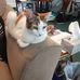Walter Thieme - Facebook