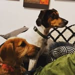 𝕎𝕒𝕝𝕥𝕖𝕣 + 𝕄𝕒𝕥𝕚𝕝𝕕𝕒 - @wattieandtilly - Instagram