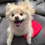 Sir Walter Todd Lopez - @sir_waltertodd - Instagram