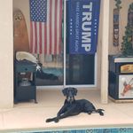 Walter Todd - @walter_a_todd - Instagram