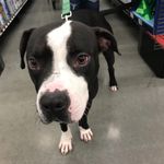 Walter Todd - @_waltersworld - Instagram