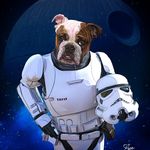 Walter Todd - @sir.walter.todd - Instagram