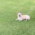 Walter Todd Rayborn - @waltertodd65 - Instagram