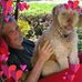 Walt Tomaszewski - Facebook