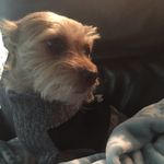 Walter Tompkins - @thewalterthesalter - Instagram