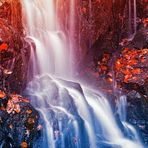Walter Palomino Torre - Facebook