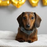 Walter Tran - @walters_world_616 - Instagram