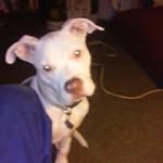 Walter Trowbridge - @waltertrowbridge - Instagram