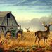 Walter Trowbridge - Facebook