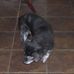 Walter Trumbo - Facebook