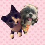 Walter And Tyson - @walter_tyson_ - Instagram
