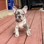 @walter_tyson_white - Instagram