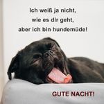 walter Ullrich - @ullrich_walter - Instagram