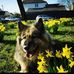 Walter Underhill - Facebook