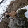 walter_valle - @walter_valle - TikTok