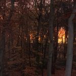 Walter van Gelder - @walter_vangelder - Instagram