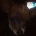 Walter Varela - Facebook