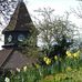 Walter Veit - Facebook