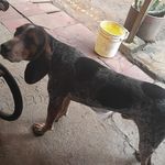 Walter Vergara - @waltervergara15 - Instagram