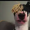 iamwalter - @walter_vibing - TikTok