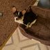 Wanda Walters - Facebook
