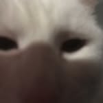 Benjamin Walter Walsh - @benthegamer2cool4u - Instagram