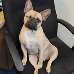 Walter Walsh - @one.eyedwalter - Instagram