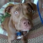 Walter Warner - @warner_walter - Instagram