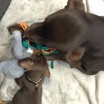 Warrick and Walter - @warrickandwalter - Instagram