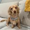 WALTER WEEN - @walter.ween - TikTok