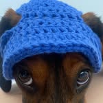 Walter weenie hernandez - @walterweenieh - Instagram