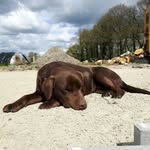 Walter Weernink - @walterweernink - Instagram