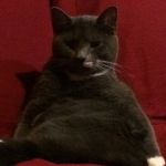 Butler Walter Weeks - @butlerwweeks - Instagram
