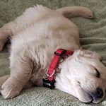 Walter Westfall - @wwwalt4 - Instagram