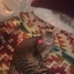 Walter Whiting - @whiting4378 - Instagram