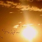 Walter Whittle - Facebook