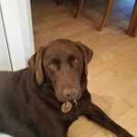jan walter widmer - @janwawi - Instagram