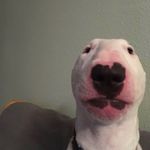 Walter wiggins - @walter_is_god_11 - Instagram