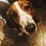 Walter Wiggins Balbas - @walterbalbas - Instagram